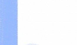 暴走黑料免费下载安装吃瓜视频,免费下载安装吃瓜视频，畅享娱乐盛宴！