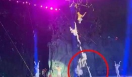 杂技演员新爆料视频播放,新爆料视频揭示惊险瞬间