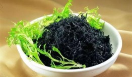 紫菜制作爆料视频大全图片,全方位揭秘紫菜美食制作技巧